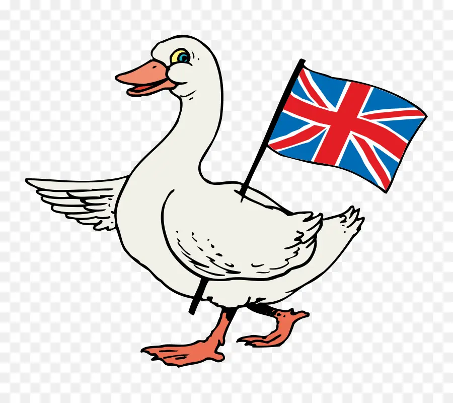 Pato，Bandeira PNG