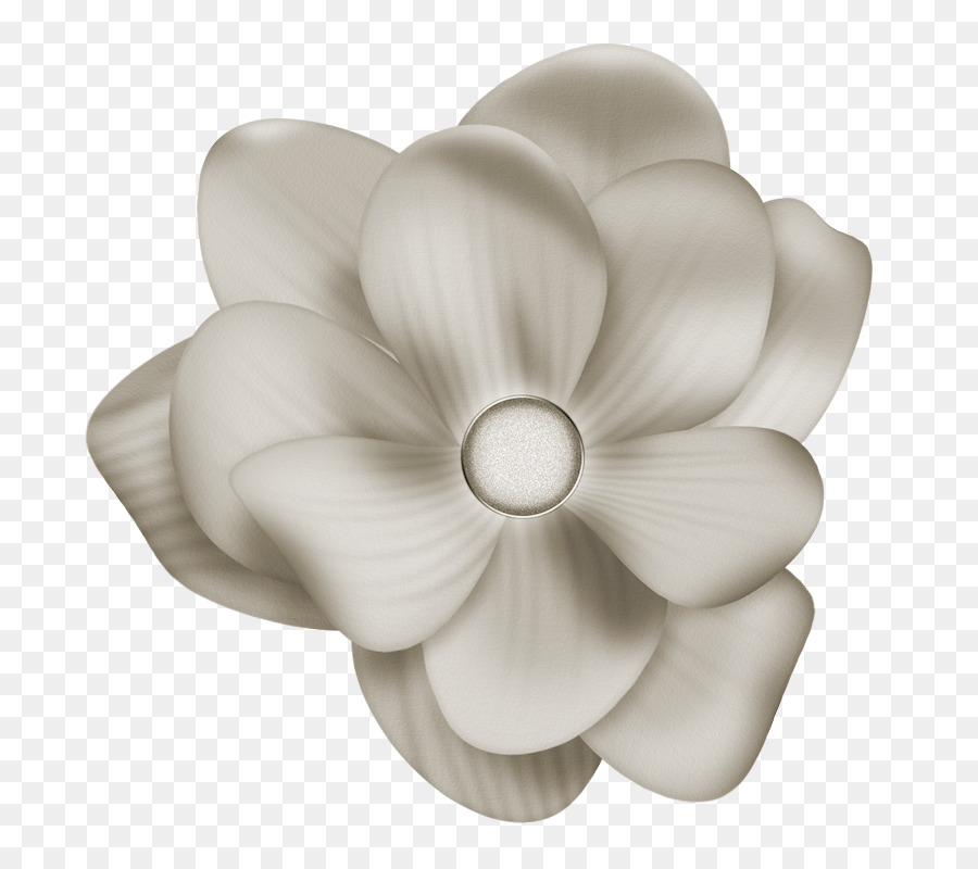 Flor，Branco PNG