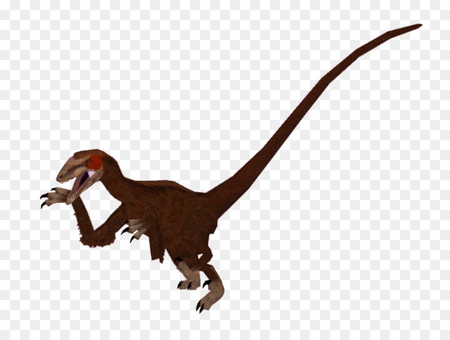 Velociraptor，Animais PNG