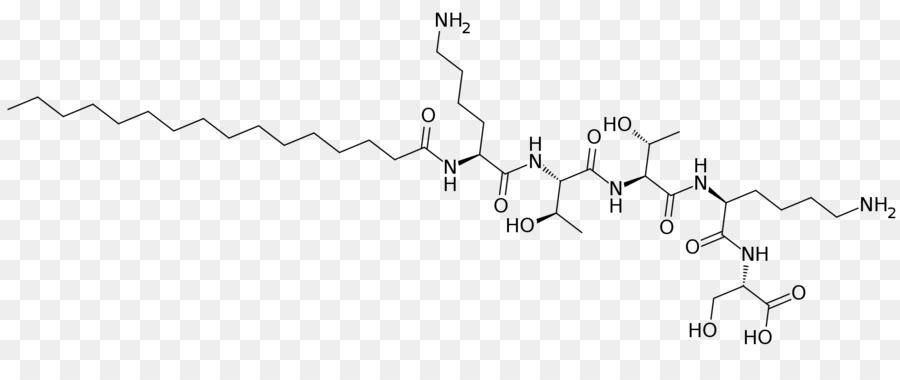 Palmitoyl Pentapeptide4，Preto E Branco PNG