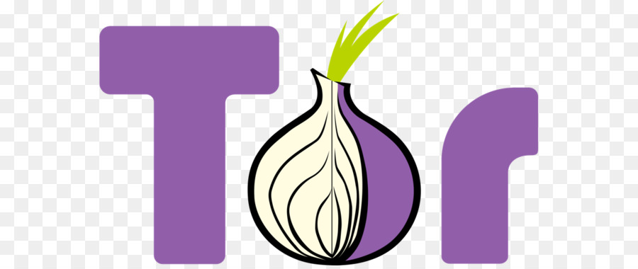 Logotipo Do Tor，Cebola PNG