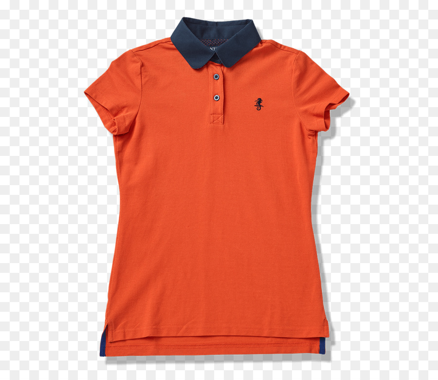 Polo Azul，Colarinho PNG