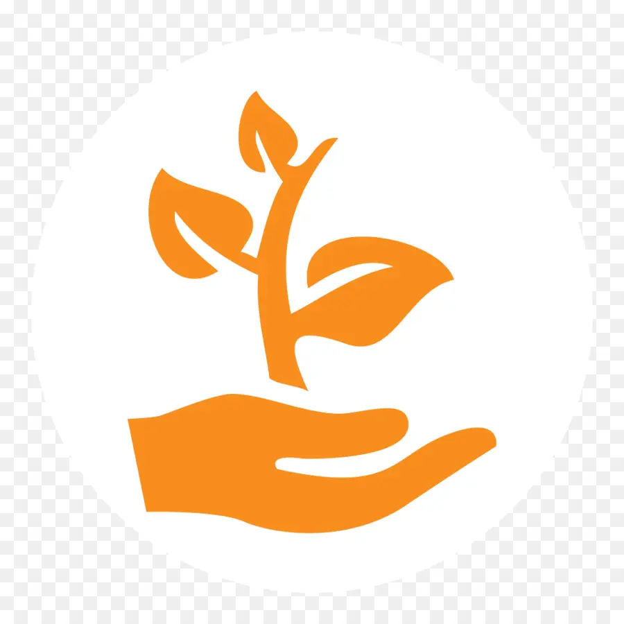 Planta Laranja，Mão PNG