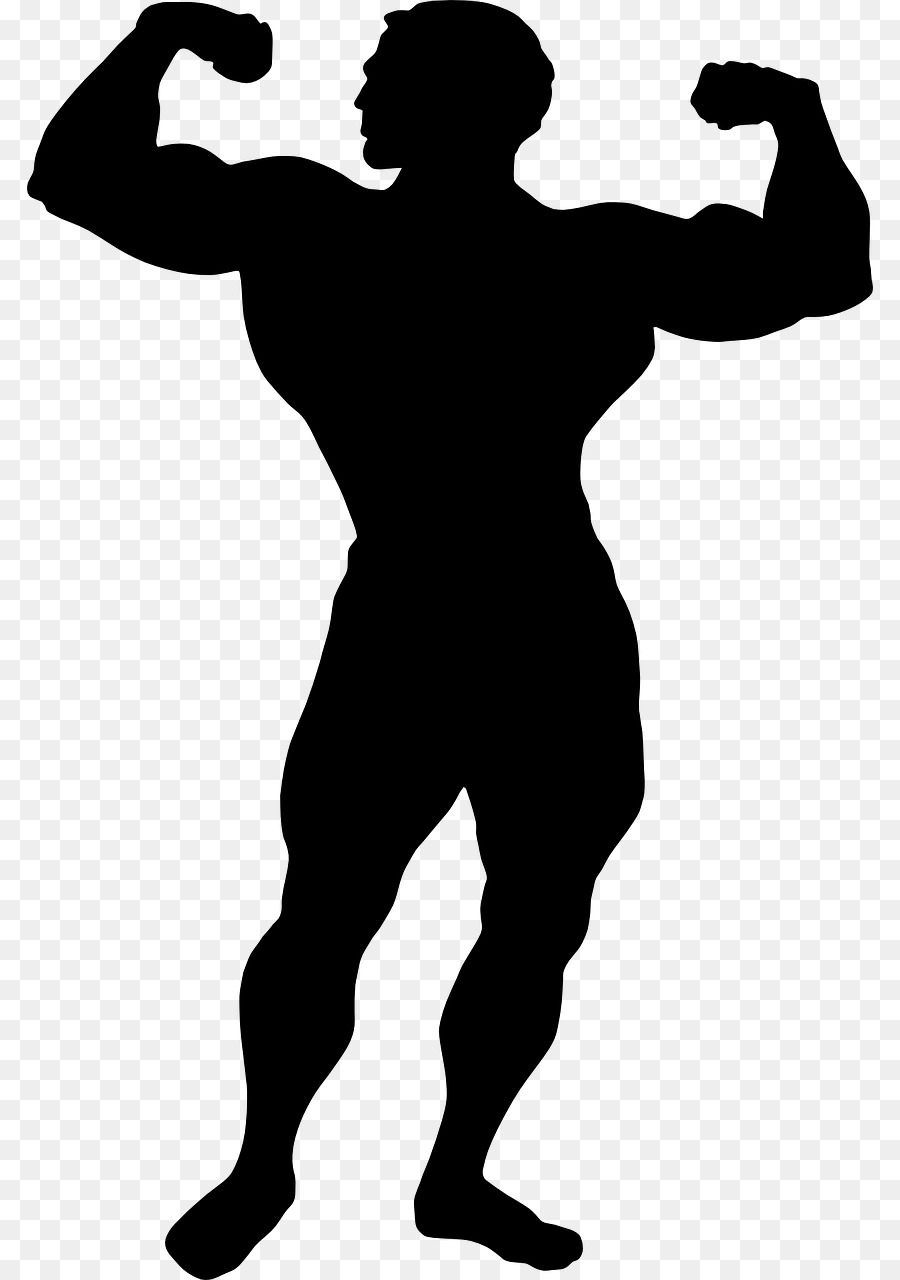 Muscular，Corpo Humano PNG