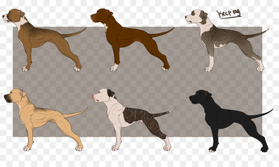 Raça Do Cão，American Pit Bull Terrier PNG