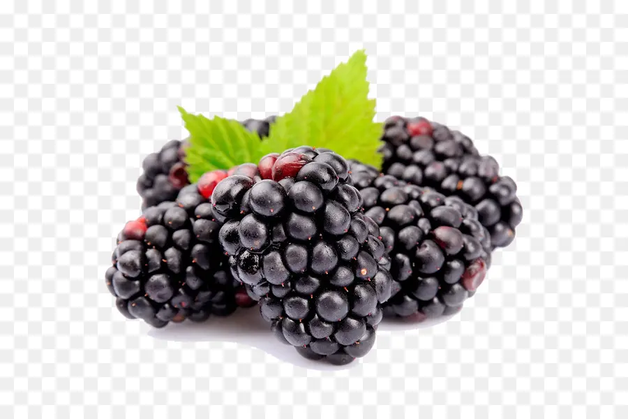 Boysenberry，Amora PNG