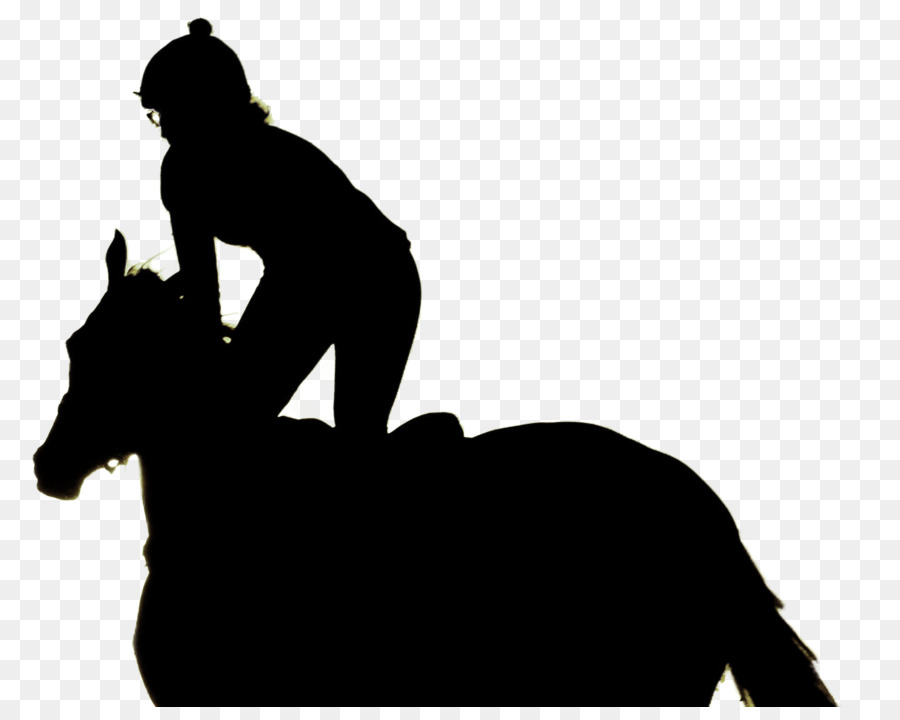 Cavalo，Equestre PNG