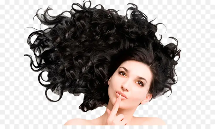 Cabelo，O Folículo De Cabelo PNG