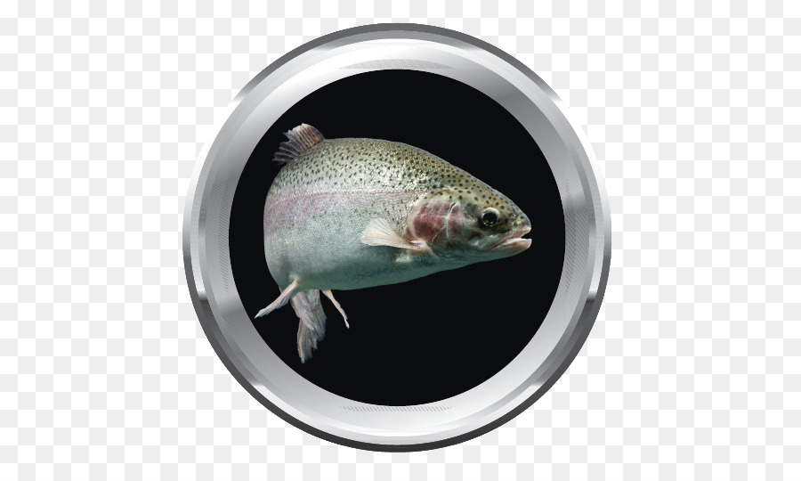 Peixe，Truta PNG