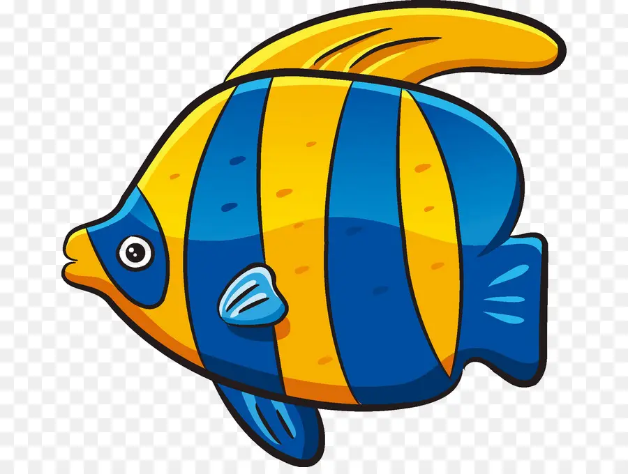 Peixe，Colorido PNG