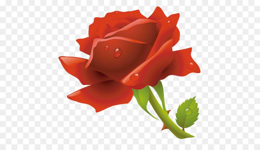 Rosa Vermelha，Flor PNG