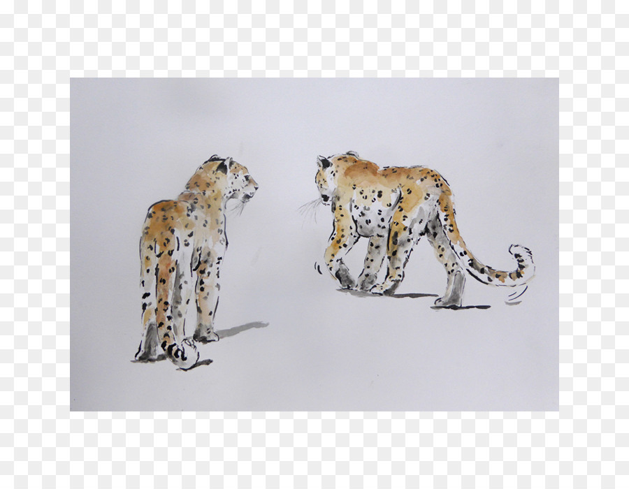 Cheetah，Leopard PNG