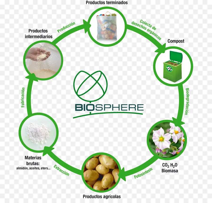 Ciclo Da Biosfera，Ecossistema PNG