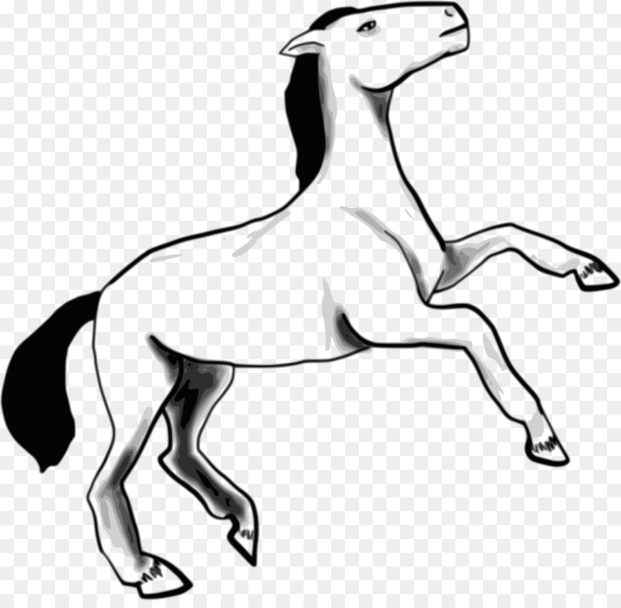 Cavalo árabe，Cão PNG