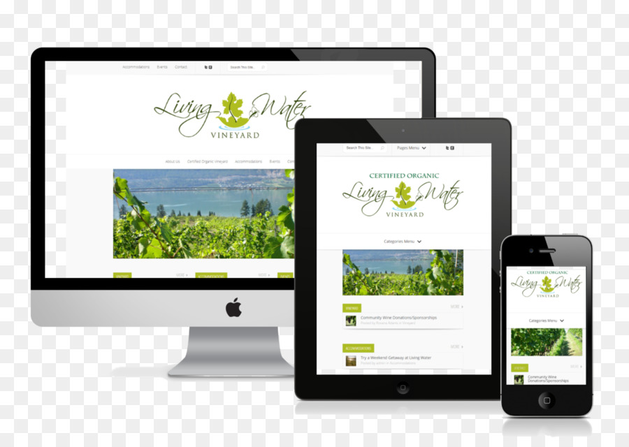 Desenvolvimento Web，Responsive Web Design PNG