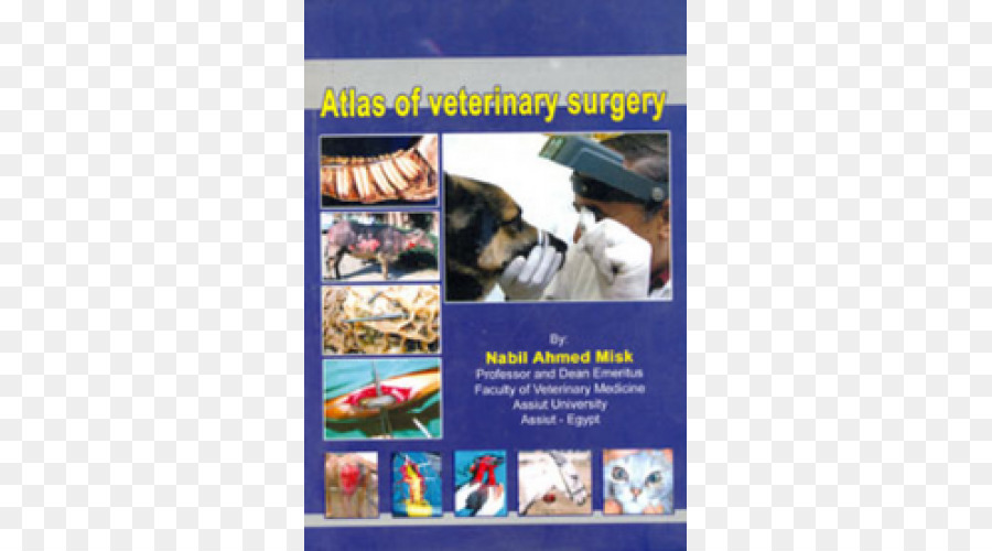 Cirurgia，Veterinária Cirurgia PNG