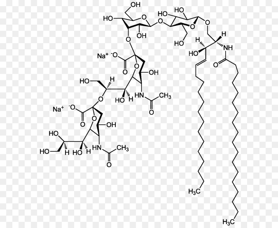 Ganglioside，Gm1 PNG