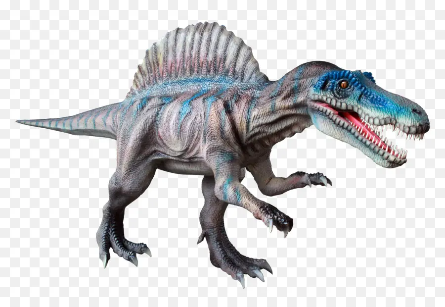 Tiranossauro，Spinosaurus PNG
