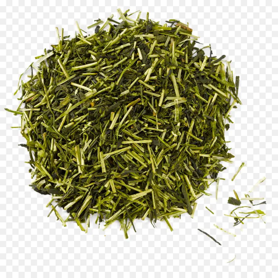 Gyokuro，O Chá Verde PNG