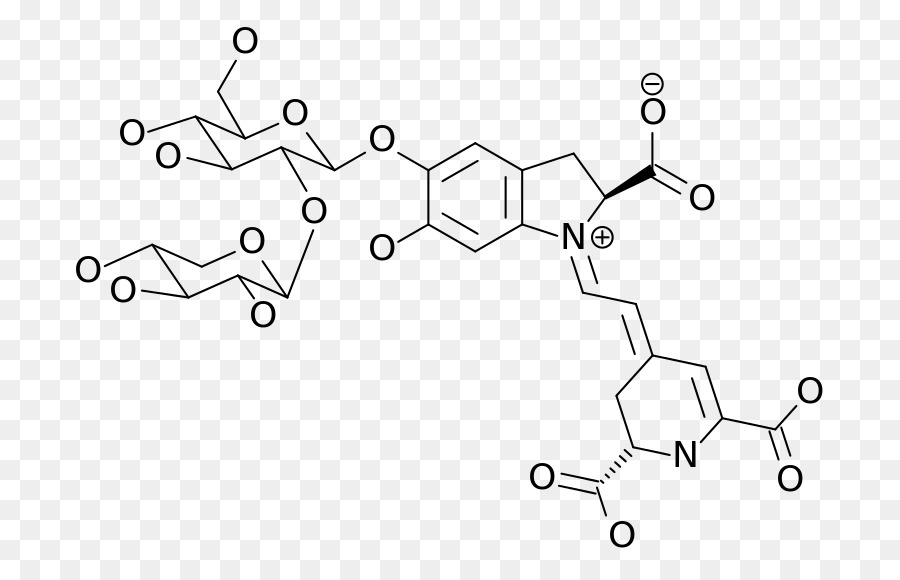 Estrutura Química，Molécula PNG