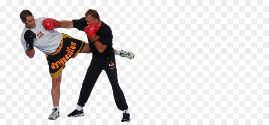 Jeet Kune Do，Artes Marciais Mistas PNG