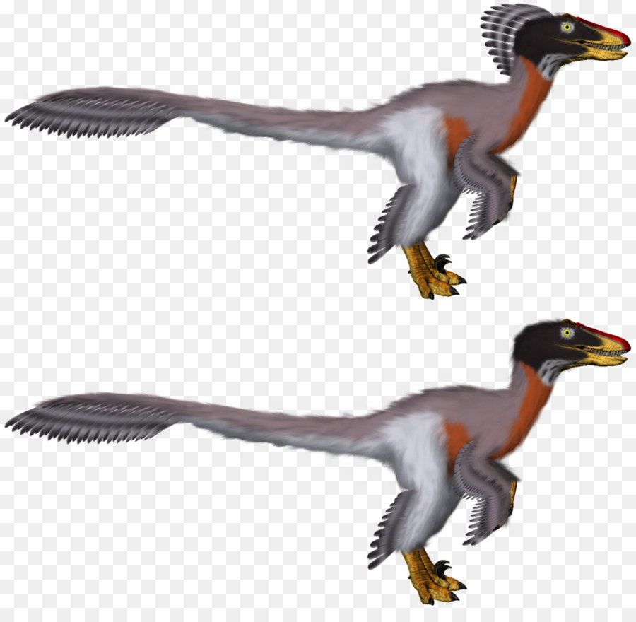 Raptor Vermelho，Velociraptor PNG