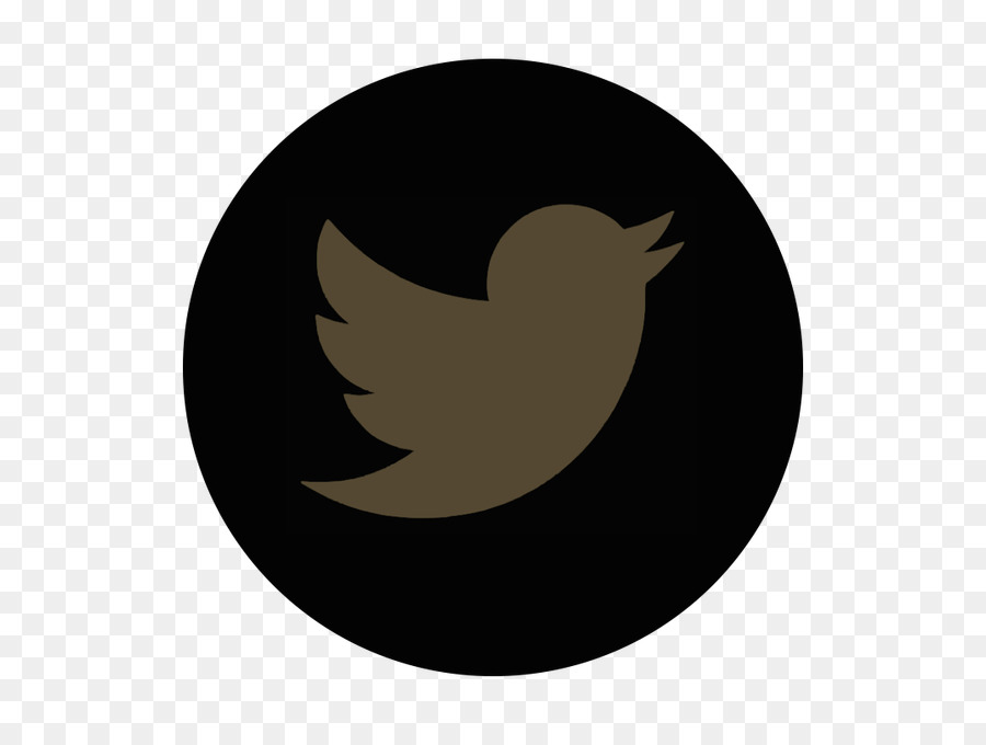 Logotipo Do Twitter，Pássaro PNG