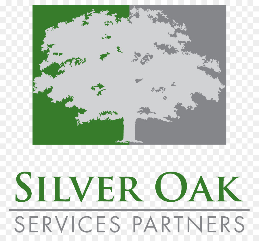 Silver Oak Serviços Partners Llc，Fórum Capital Partners PNG