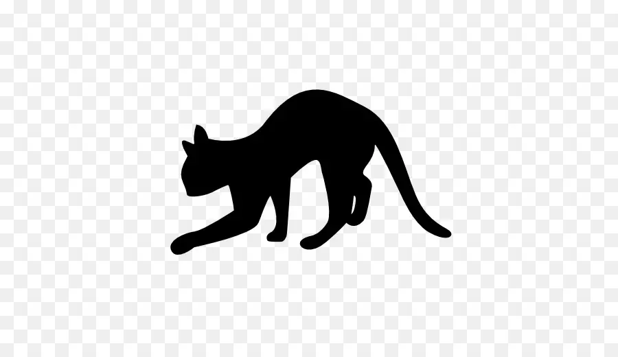 Gato Preto，Bicho De Estimação PNG