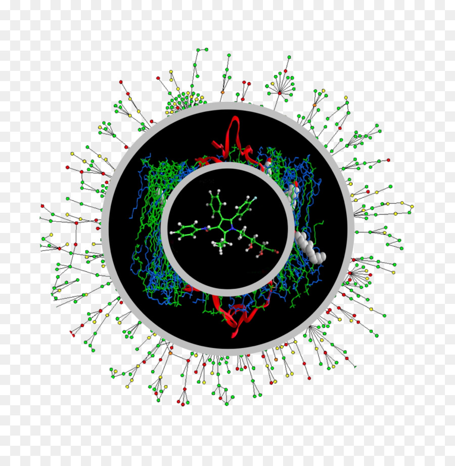 Biologia，Proteinprotein Interação PNG