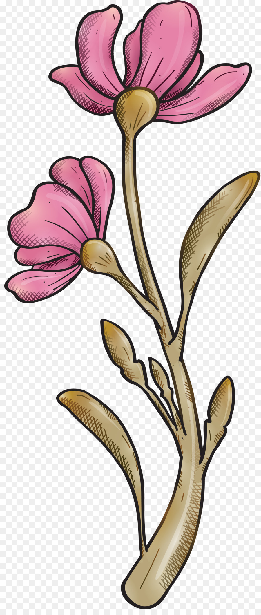 Design Floral，Flor PNG