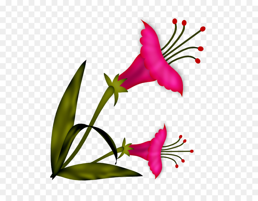 Flor Rosa，Folhas PNG