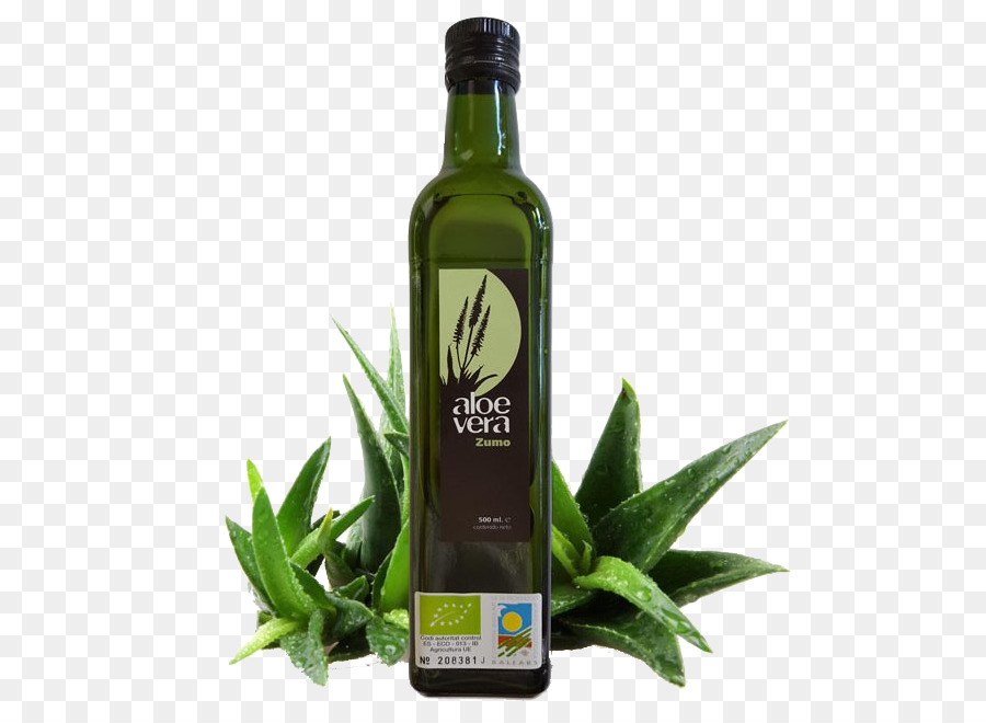 Aloe Vera，Cuidados Com A Pele PNG