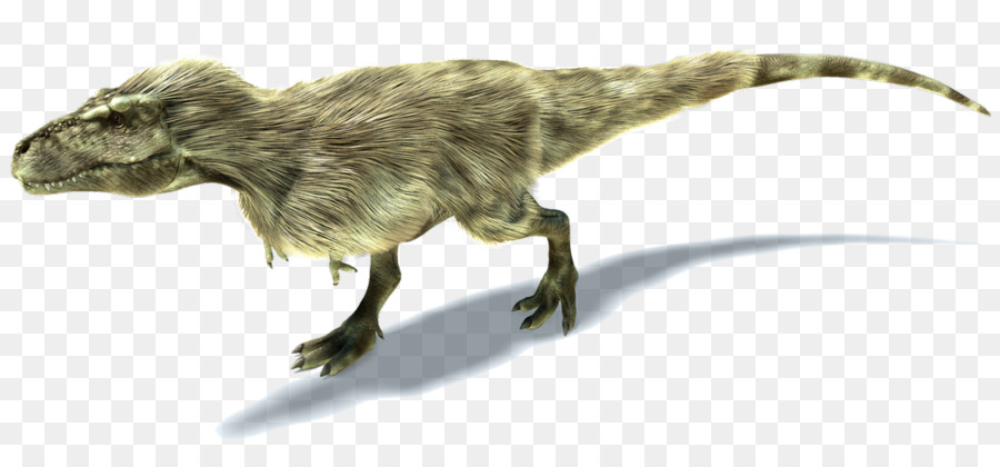 Tiranossauro，Yutyrannus PNG