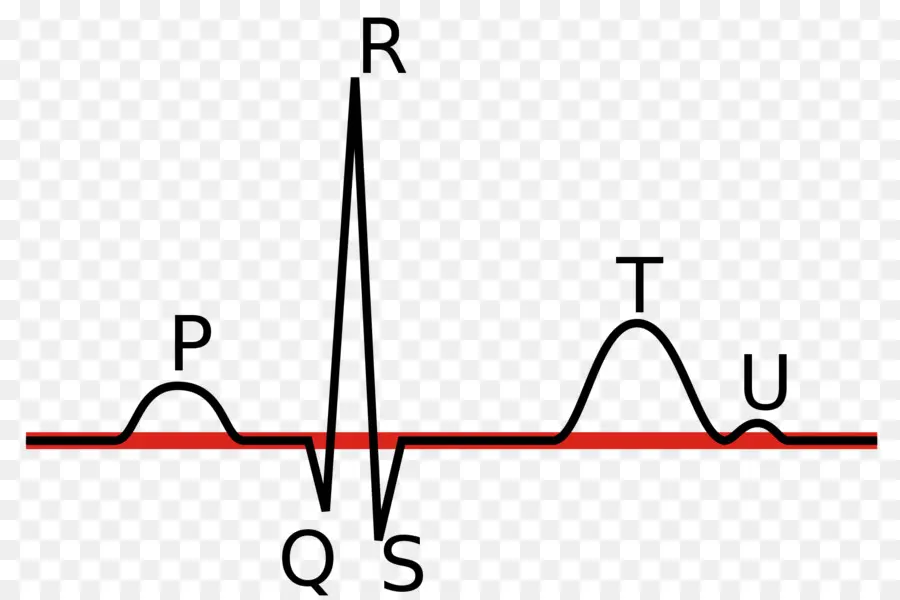 Forma De Onda De Ecg，Coração PNG