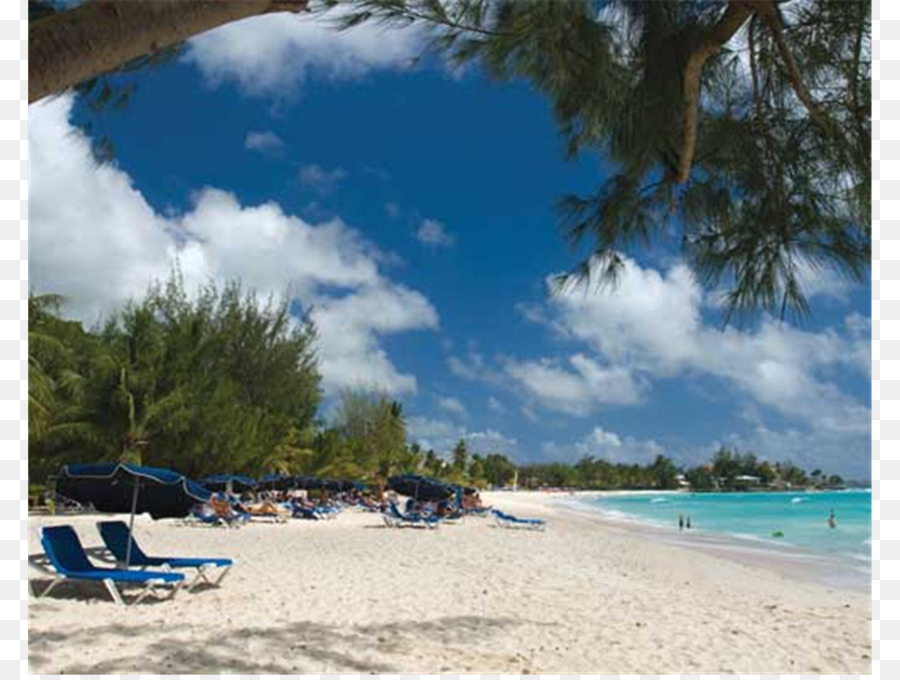 Divi Southwinds Beach Resort，Paynes Bay Barbados PNG