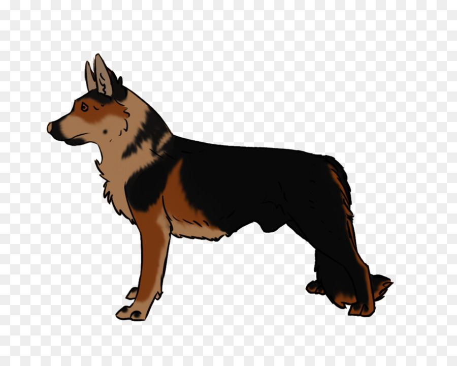 Lancashire Heeler，Kelpie Australiano PNG