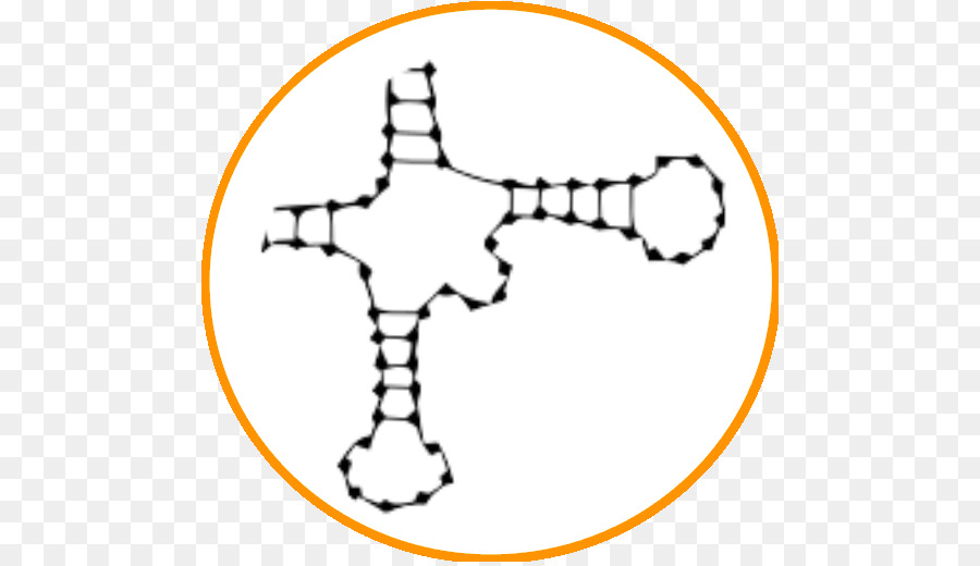 Bioinformática，Proteína De Estrutura Secundária PNG