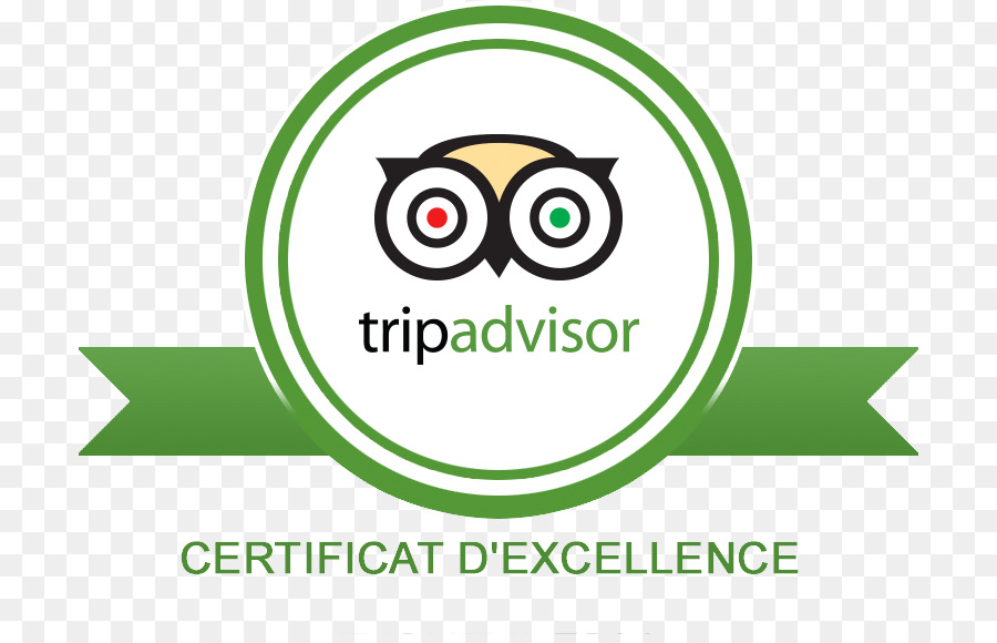 Logotipo Do Tripadvisor，Viagem PNG