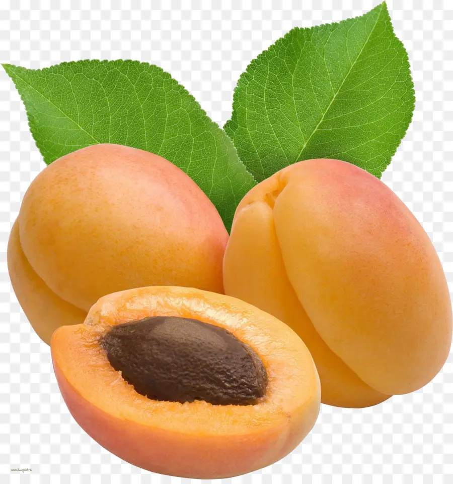 Damasco，Fruta PNG