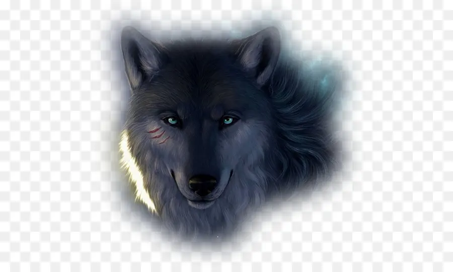 Lobo，Canino PNG