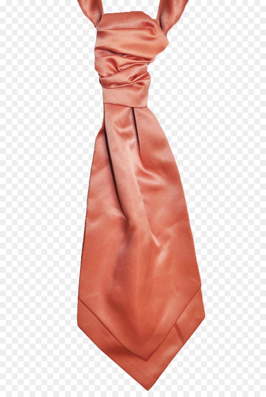 Plastrão，Coral PNG