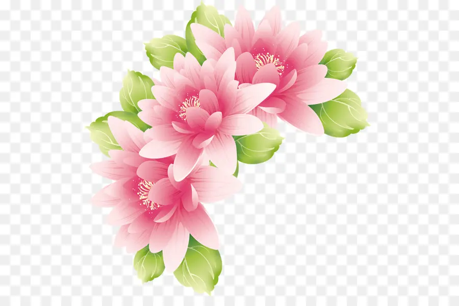 Papel，Flor PNG