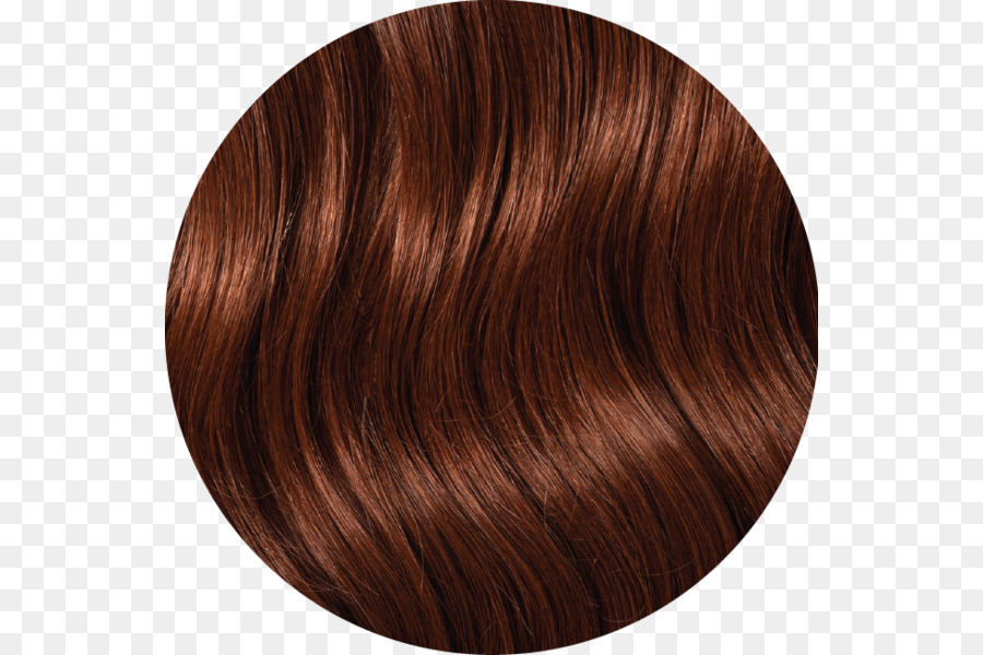 Coloração Do Cabelo，Cabelo Castanho PNG