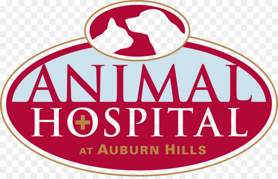 Hospital De Animais Em Auburn Hills，Médico Veterinário PNG