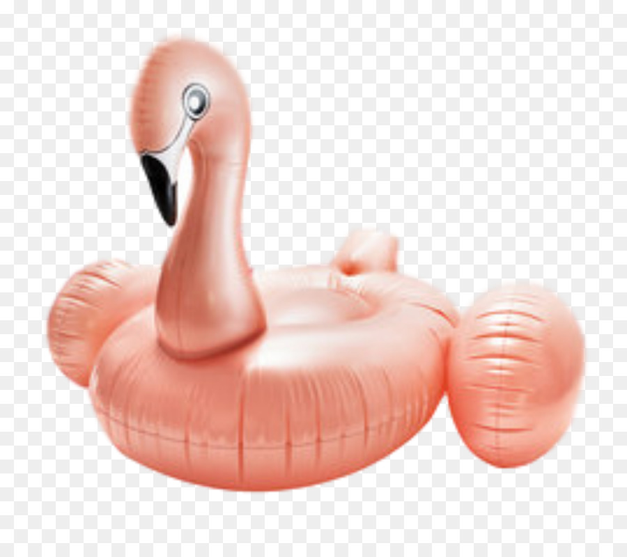 Flamingo Inflável，Flamingo PNG