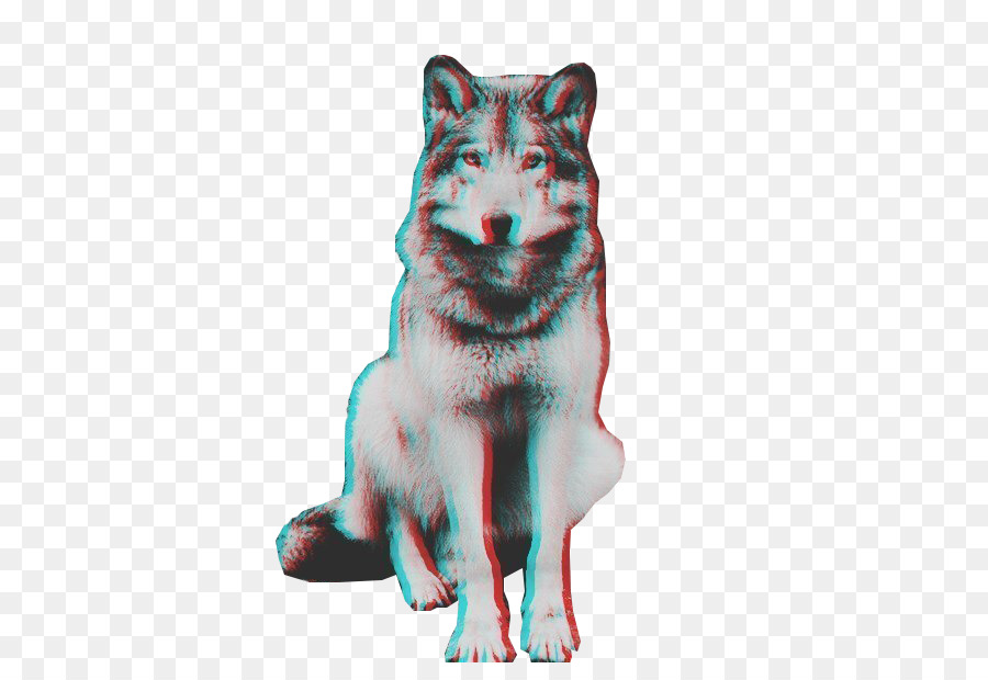 Cão，Adesivo PNG