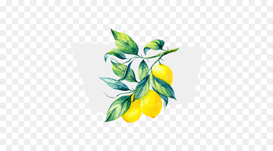 Limão，Terpênicos PNG