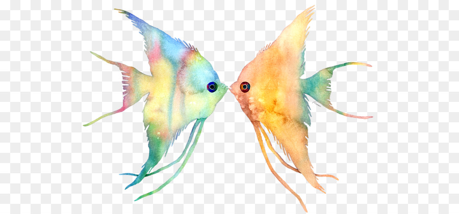 Peixe Colorido，Aquarela PNG