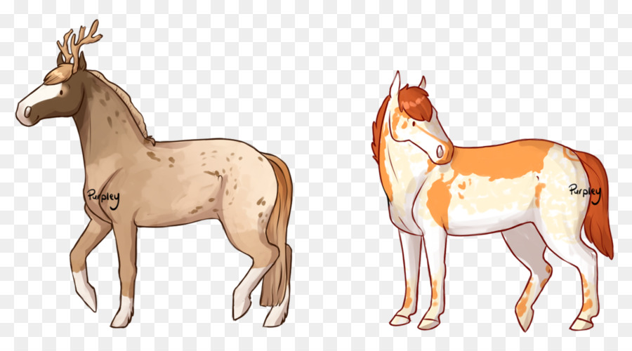 Cavalos，Cavalo PNG